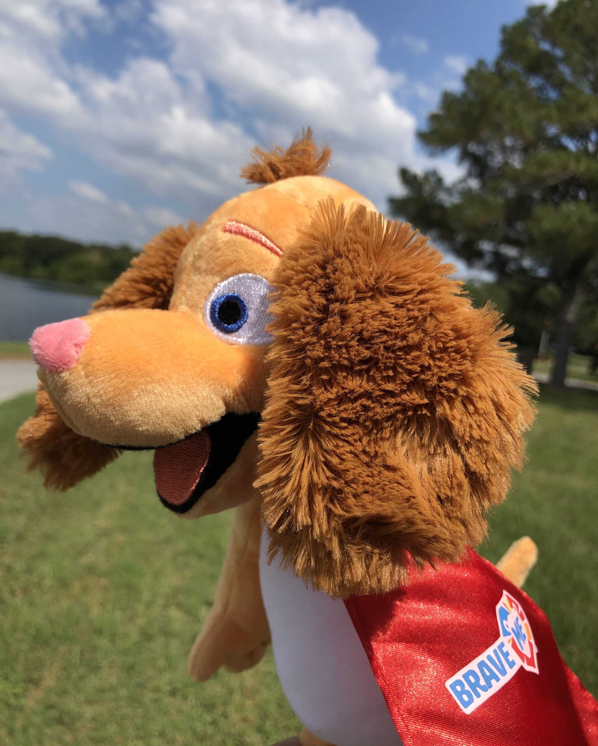 Brave Me Riley Stuffed Animal